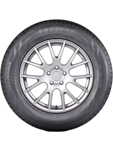 фото протектора и шины FSR305 Шина Fortune FSR305 225/65 R17 102H